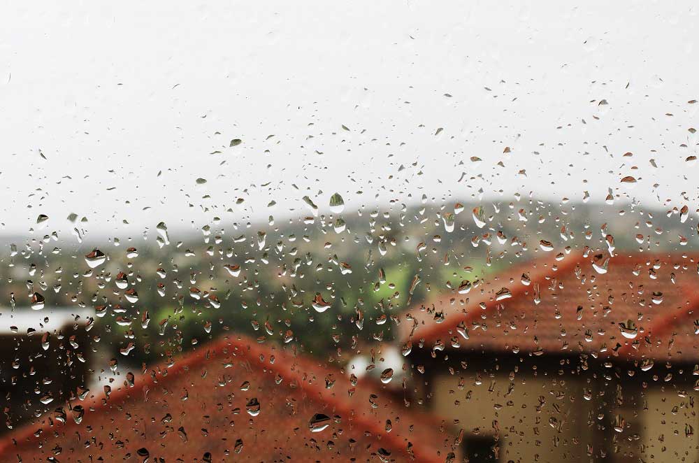 window