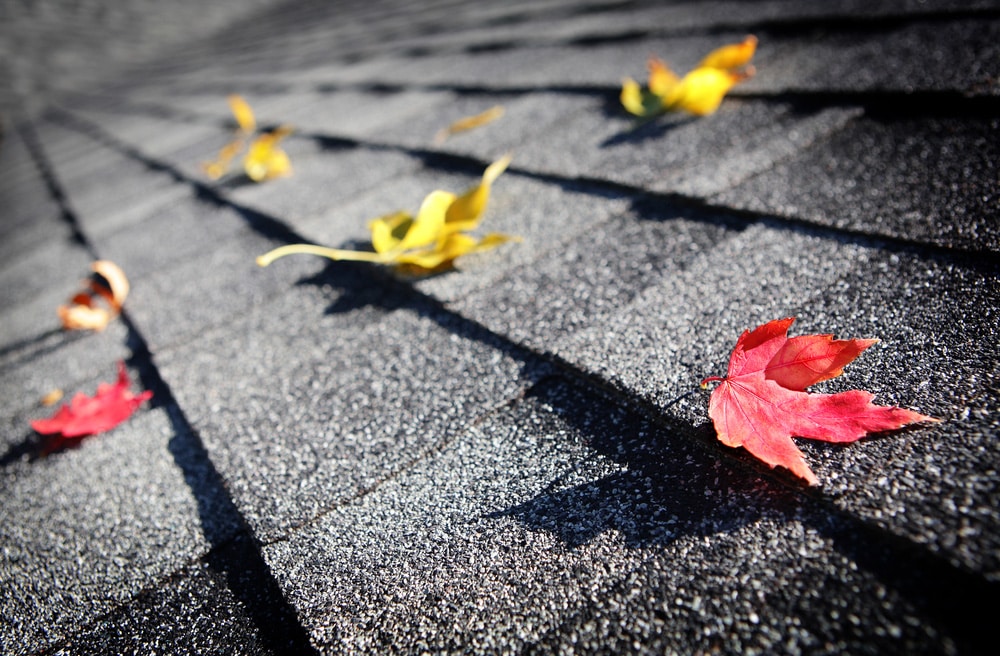 roof-shingles