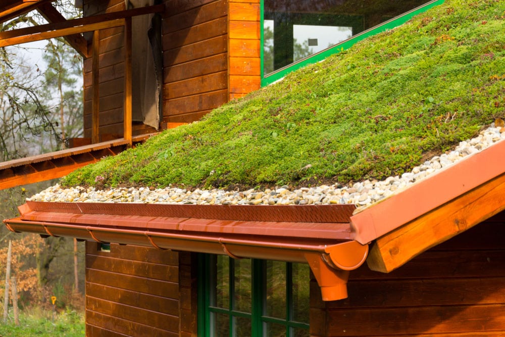 Green-Roof