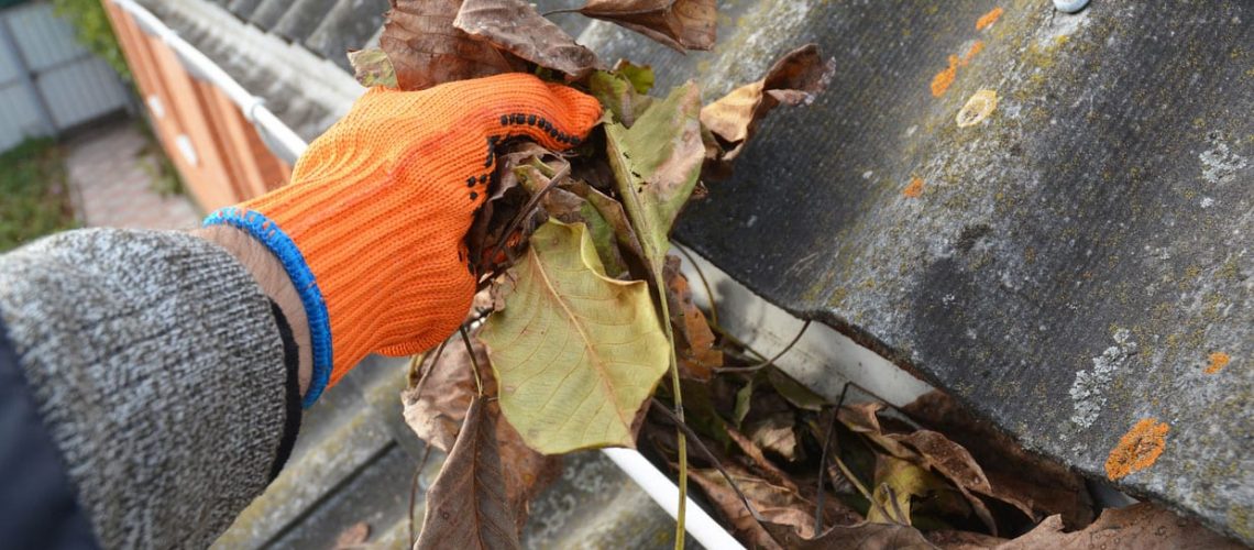 Rain Gutter Cleaning from Leaves in Autumn