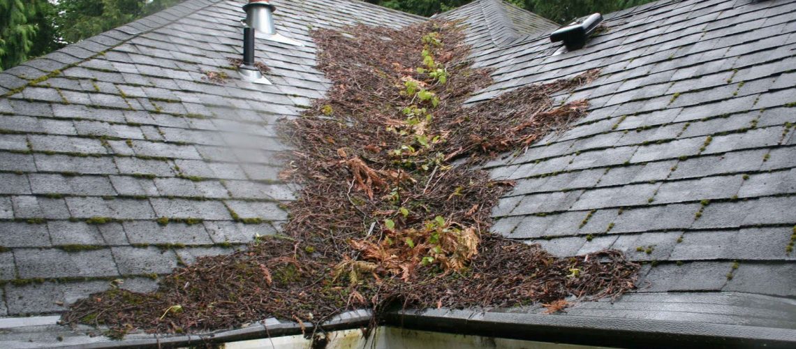 Roof-Maintenance